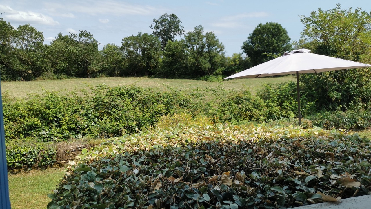 Photo of Outdoor in Chaille-les-Marais