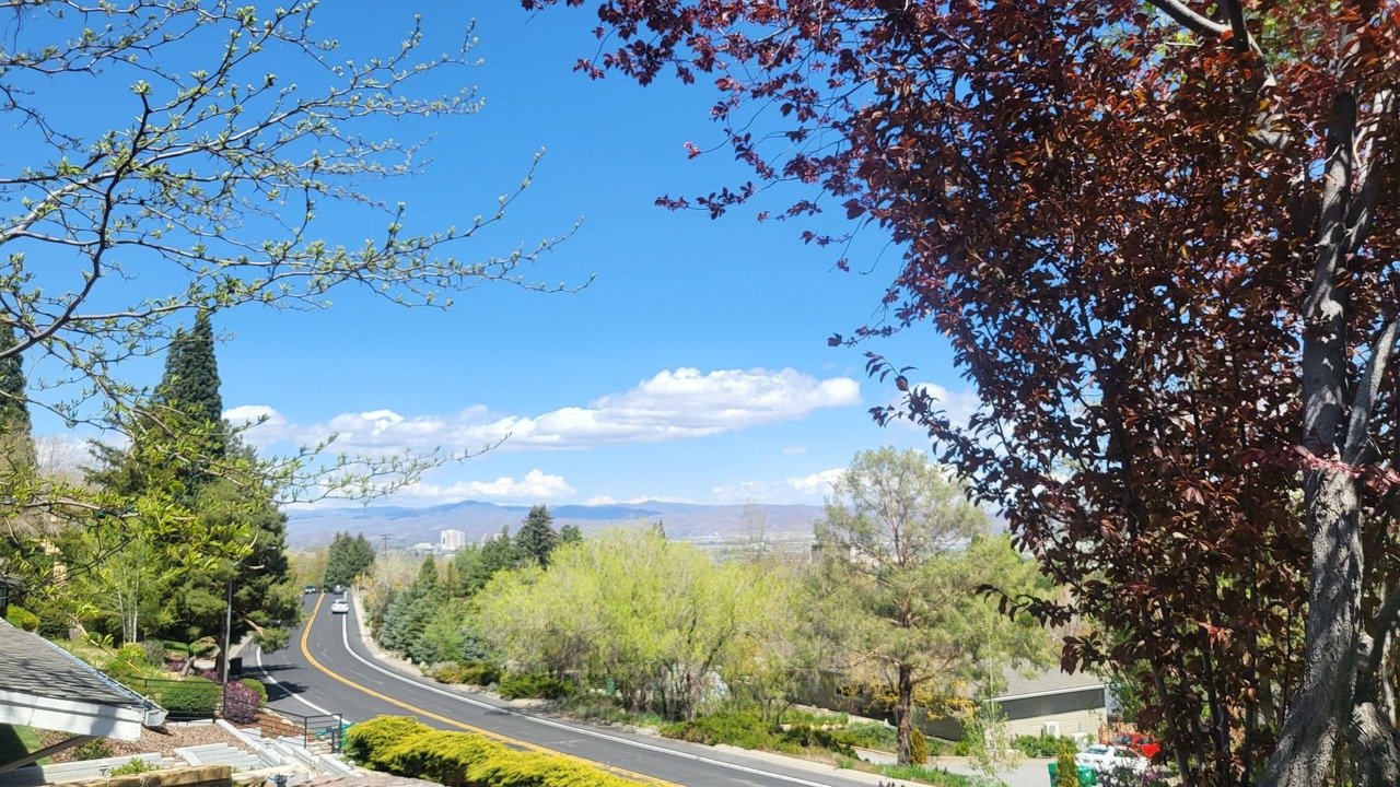 Photo of Others in Reno