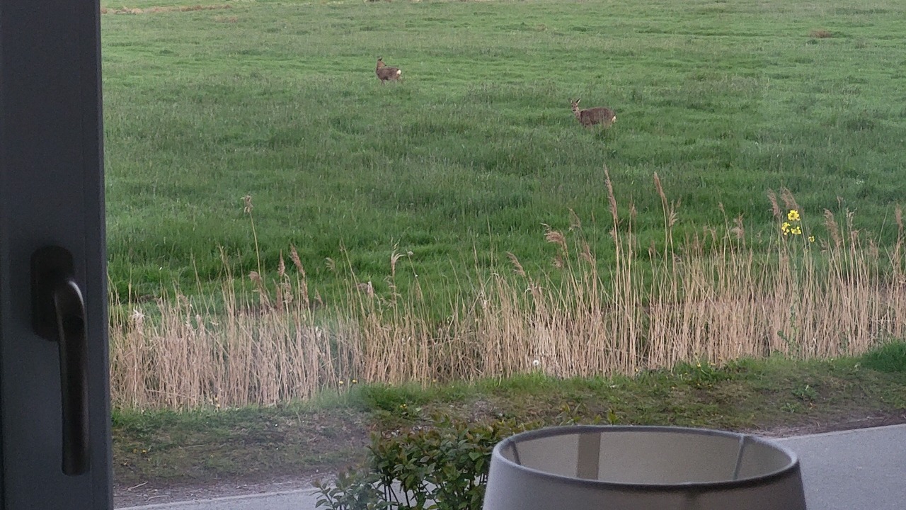 Photo of Others in Wolthusen