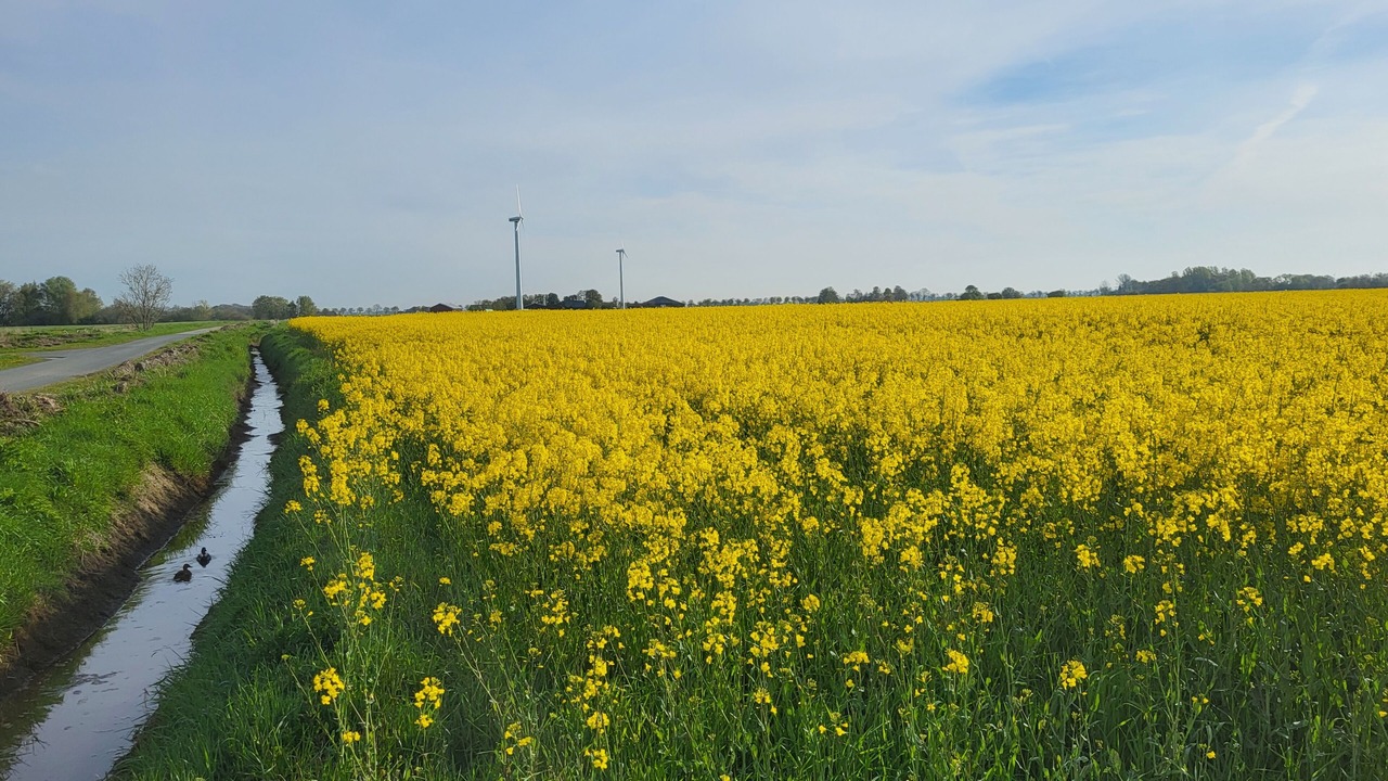 Photo of Outdoor in Wolthusen