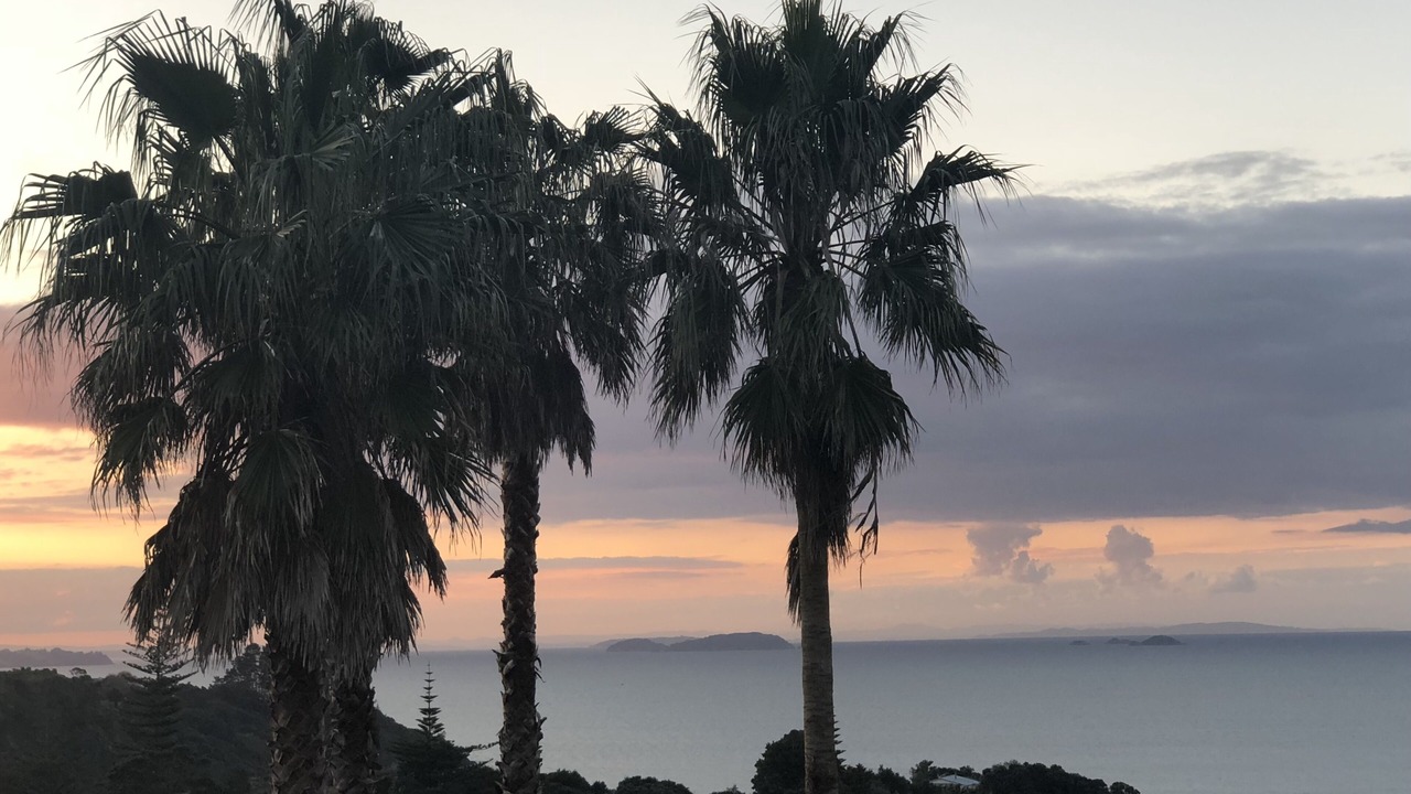 Photo of Others in Waiheke Island