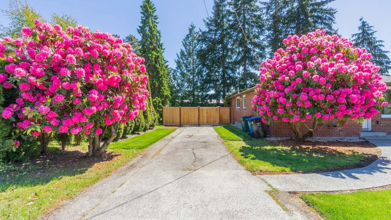 Photo of Outdoor in Northgate