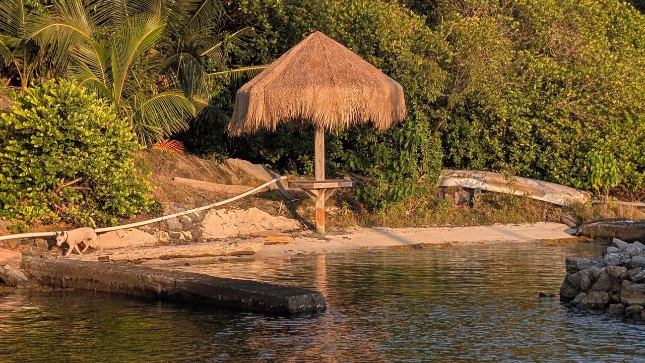 Photo of Others in Punta Caribe