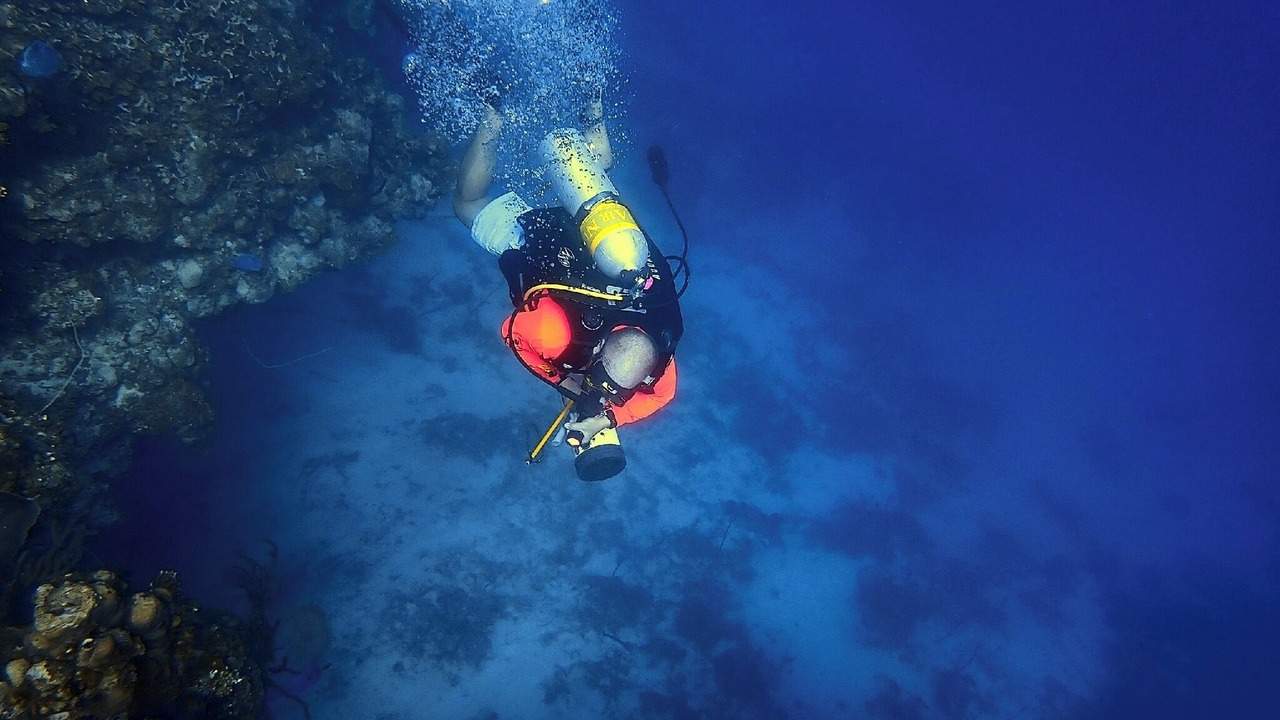 Photo of Others in Punta Caribe