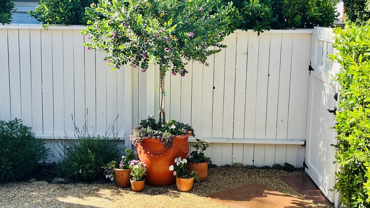 Photo of Outdoor in Montecito