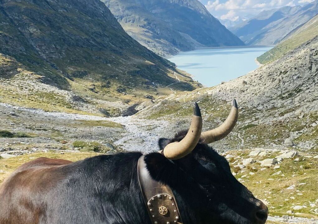 Photo of Others in Saas Grund
