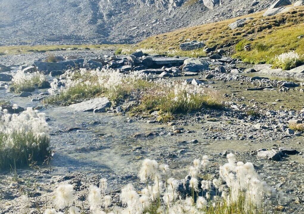 Photo of Others in Saas Grund