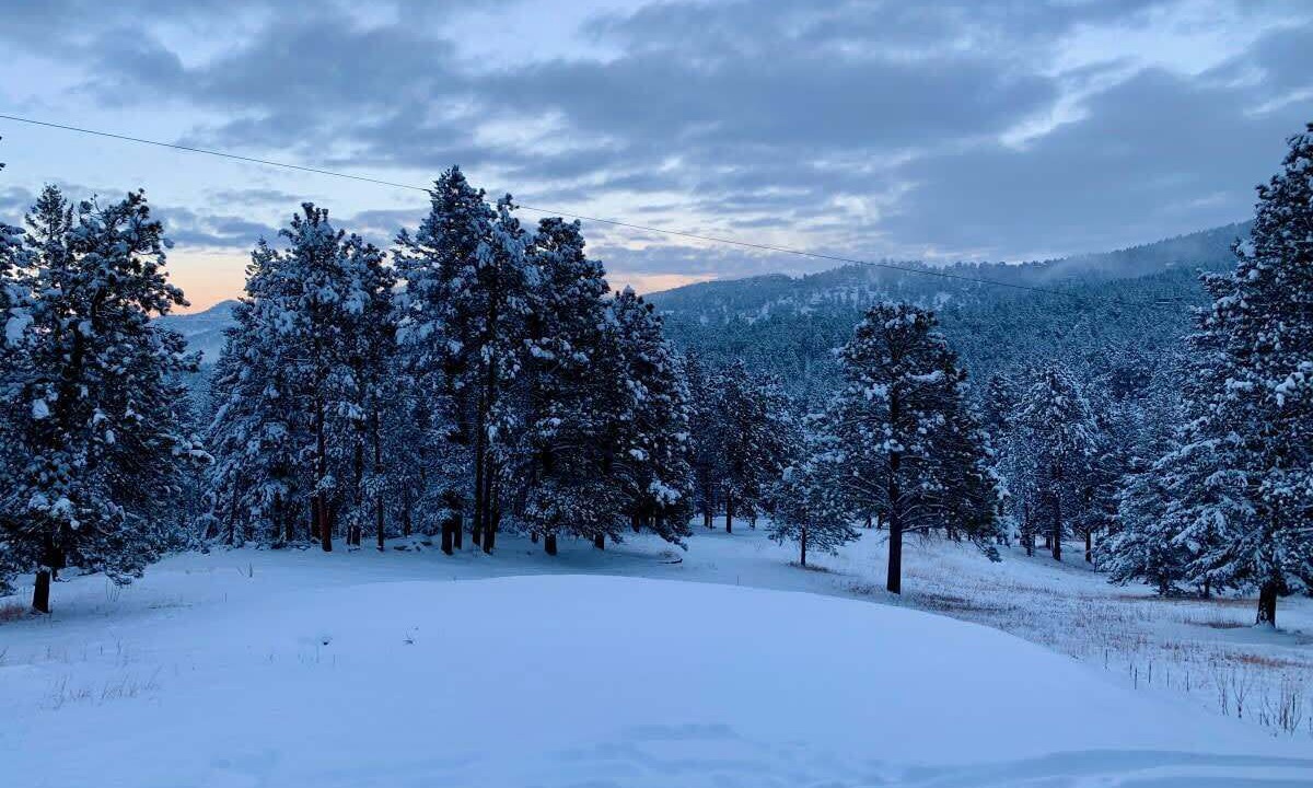 Photo of Others in Evergreen Meadows