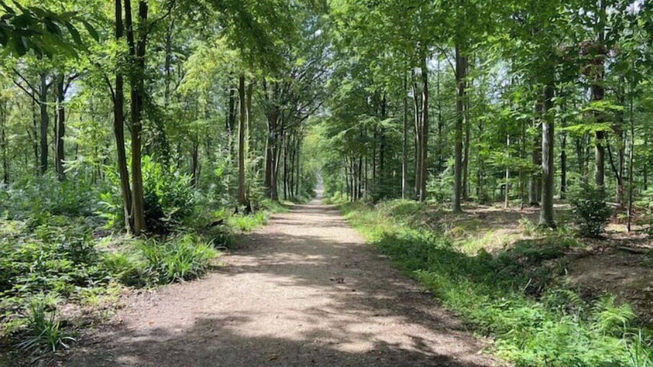 Photo of Outdoor in Eaubonne