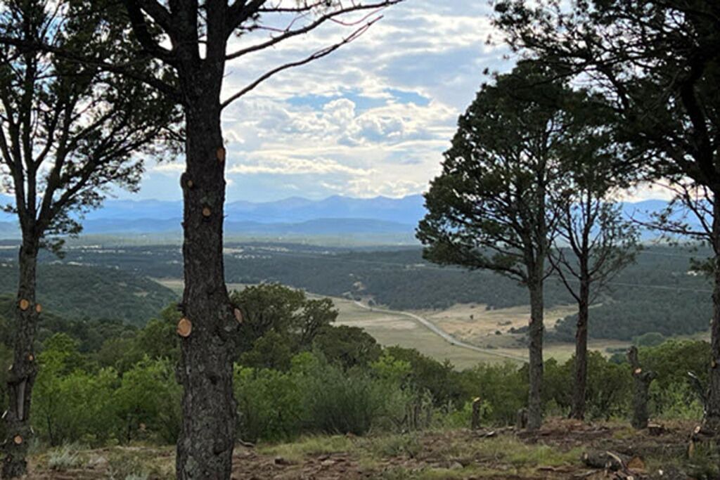 Photo of Outdoor in Gulnare