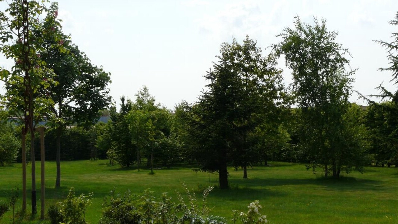 Photo of Outdoor in Bourneau