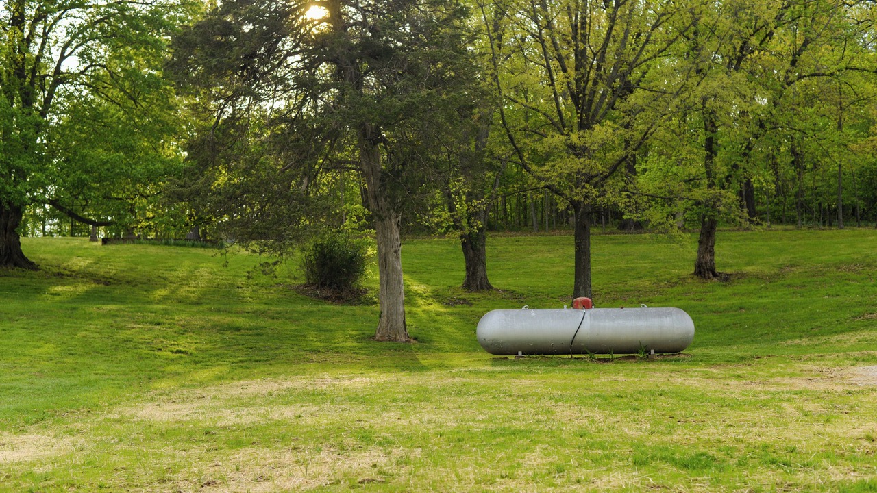 Photo of Outdoor in Jackson