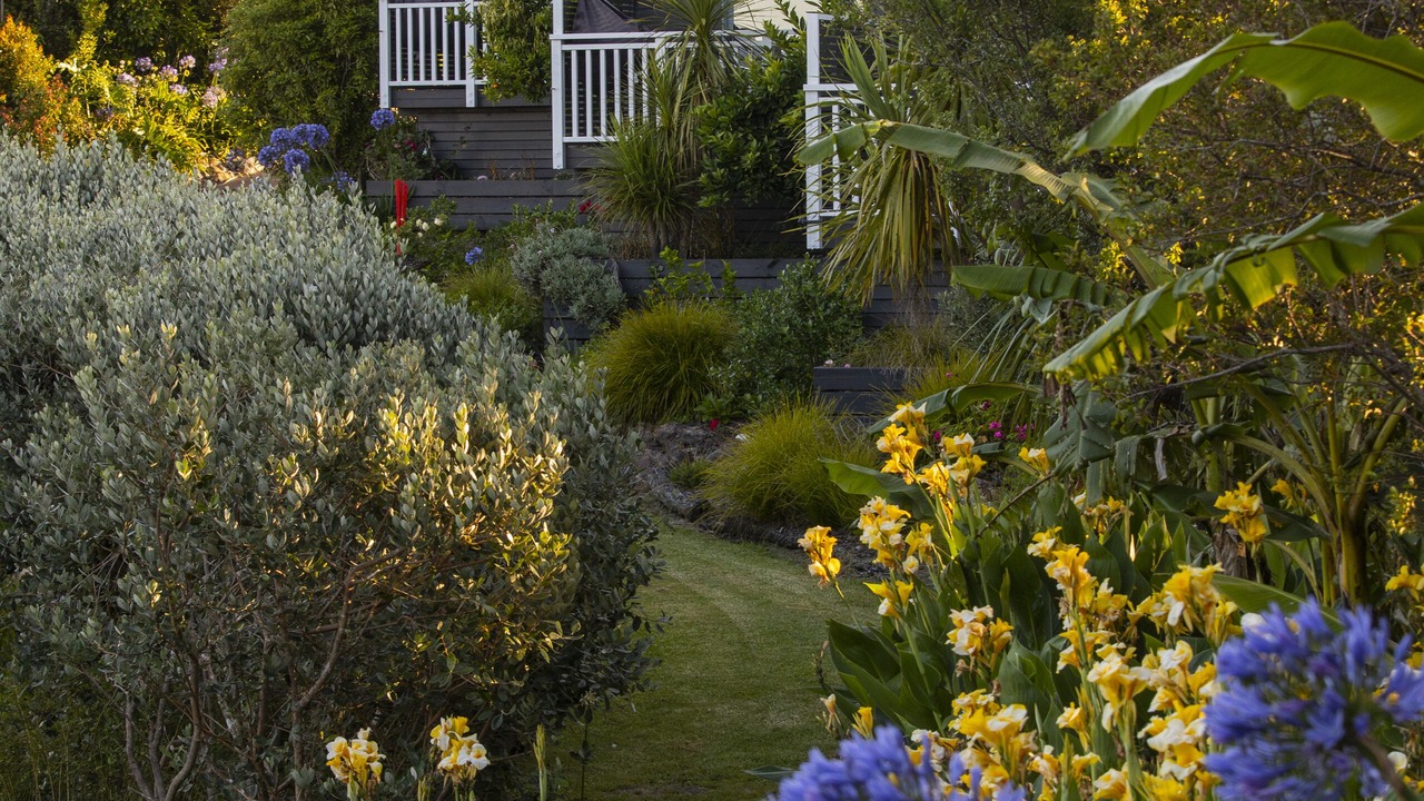 Photo of Outdoor in Oneroa