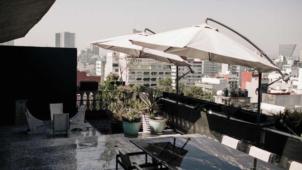 Photo of Outdoor in Polanco