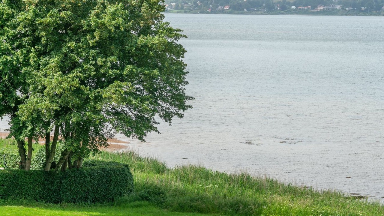 Photo of Others in Andkær Vig