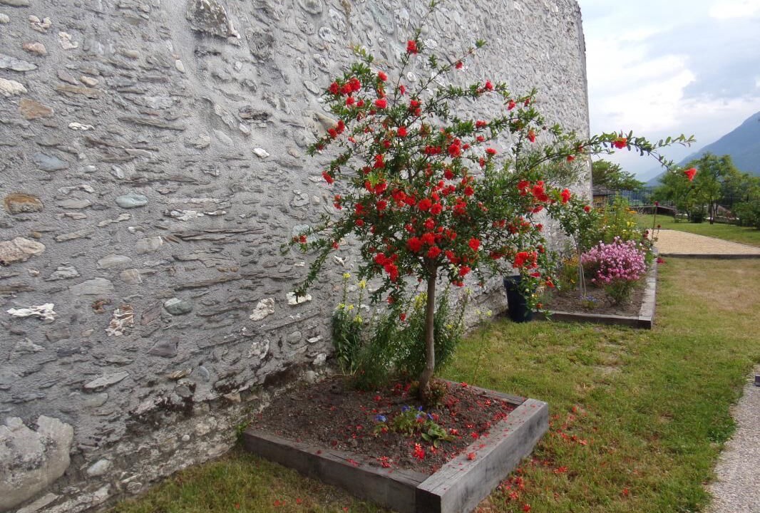 Photo of Outdoor in La Croix-de-la-Rochette