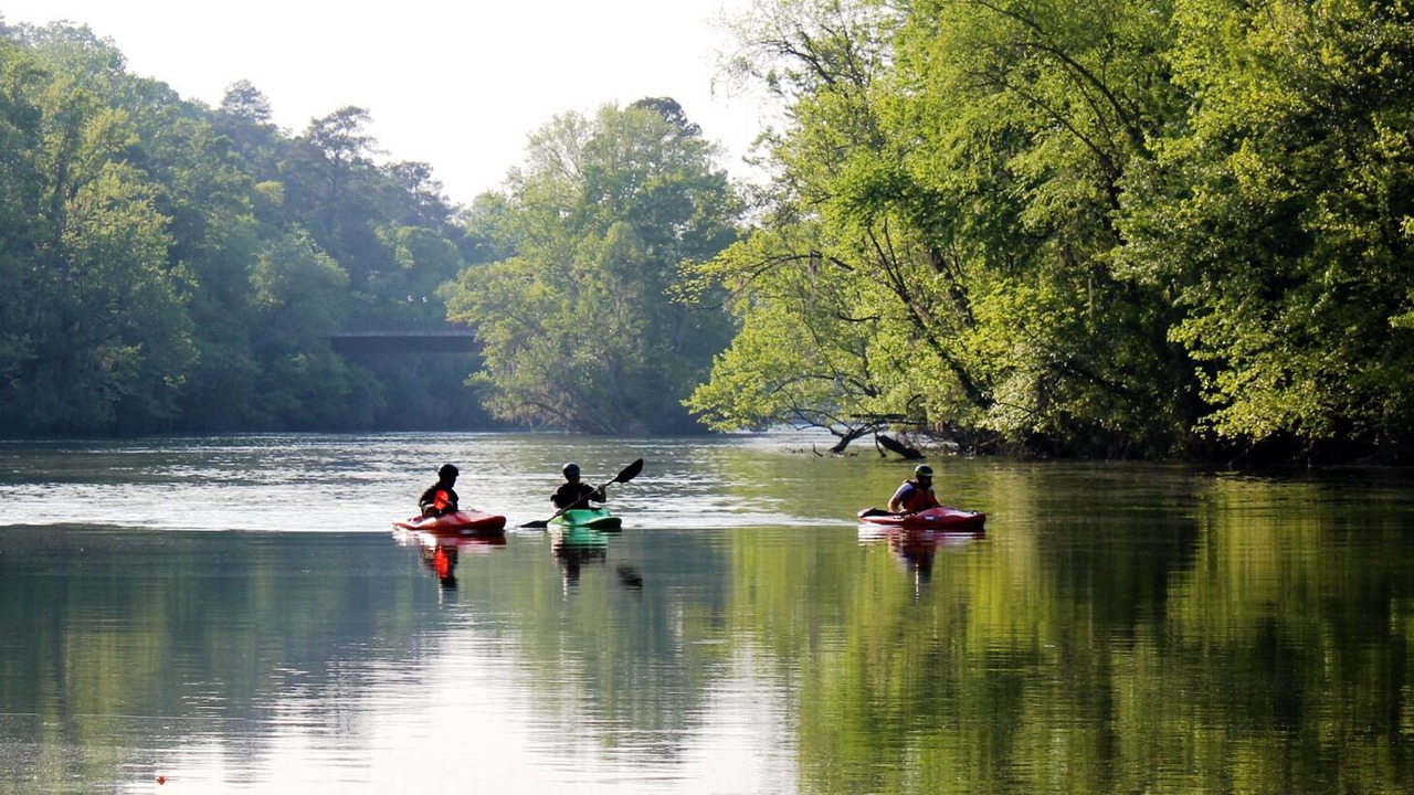 Photo of Others in Columbia