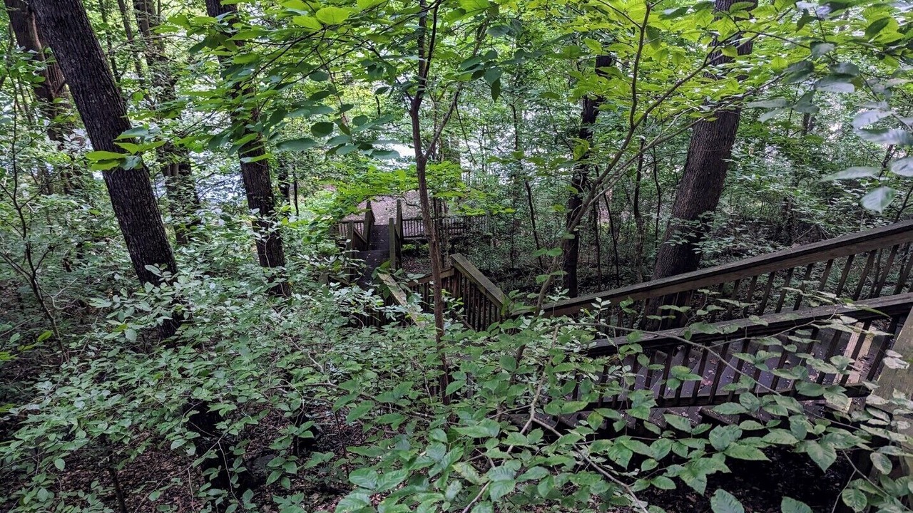 Photo of Outdoor in Columbia