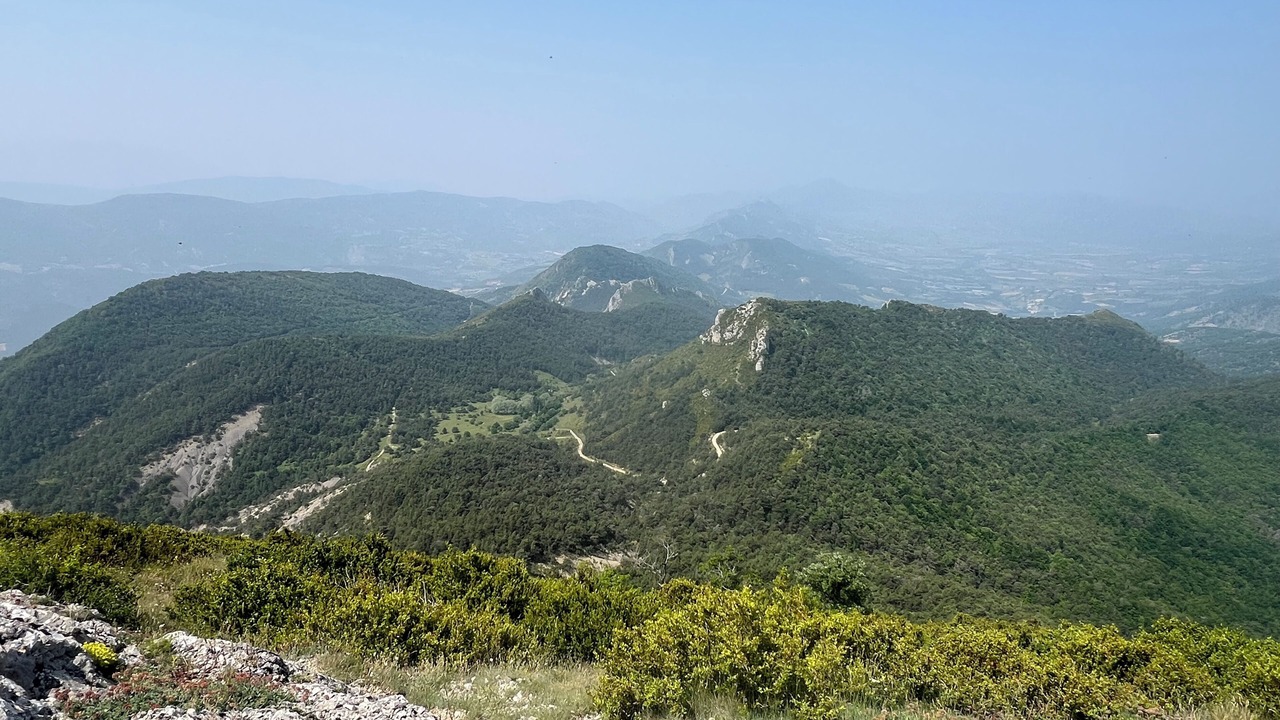 Photo of Others in Montferrand-la-Fare