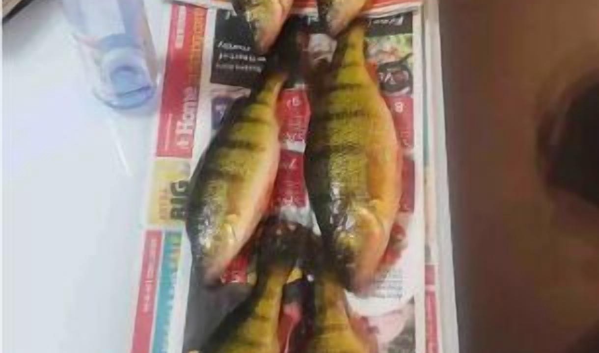 Photo of Others in Central Alberta