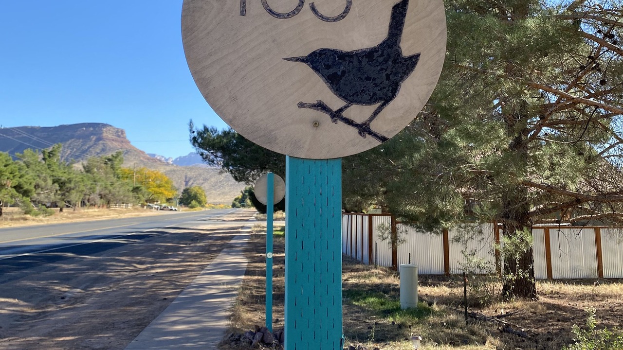 Photo of Outdoor in Virgin