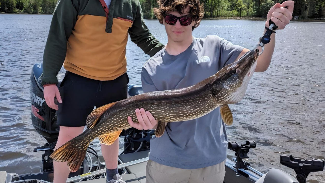 Photo of Others in Kenora