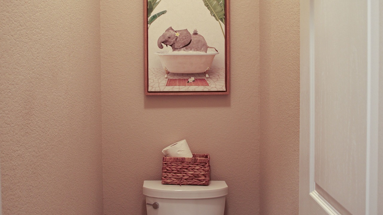 Photo of Bathroom in Alvin