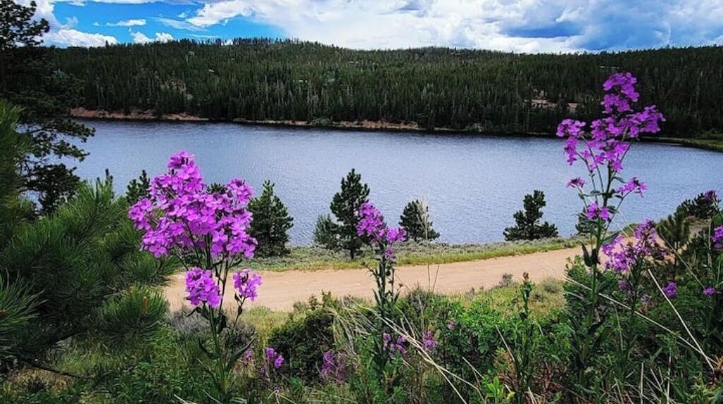 Photo of Outdoor in Crystal Lake
