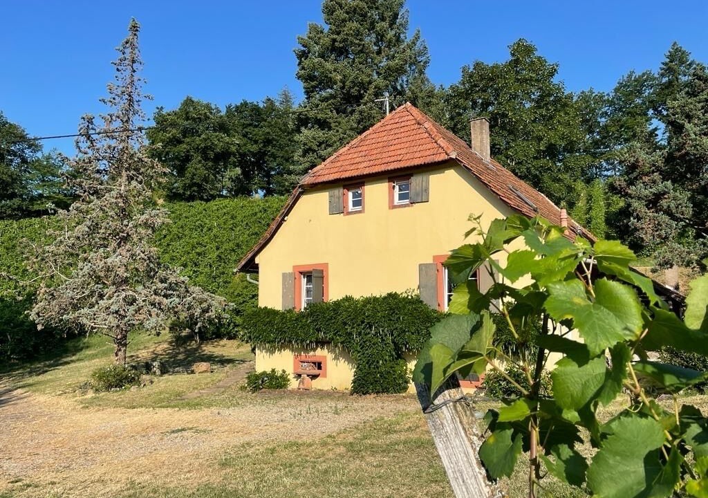 Photo of Outdoor in Durbach