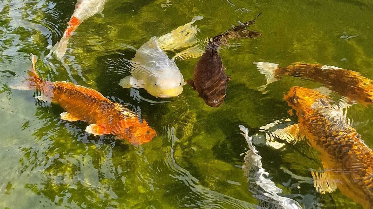 Photo of Others in Trebbin