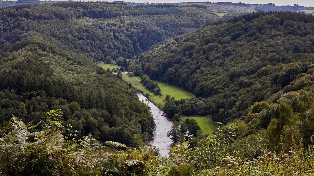 Photo of Others in Neufchateau