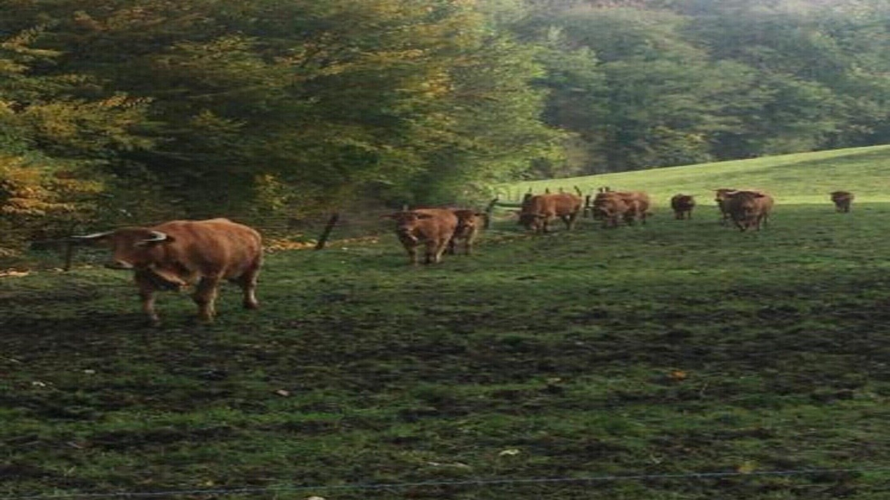 Photo of Others in Barvaux