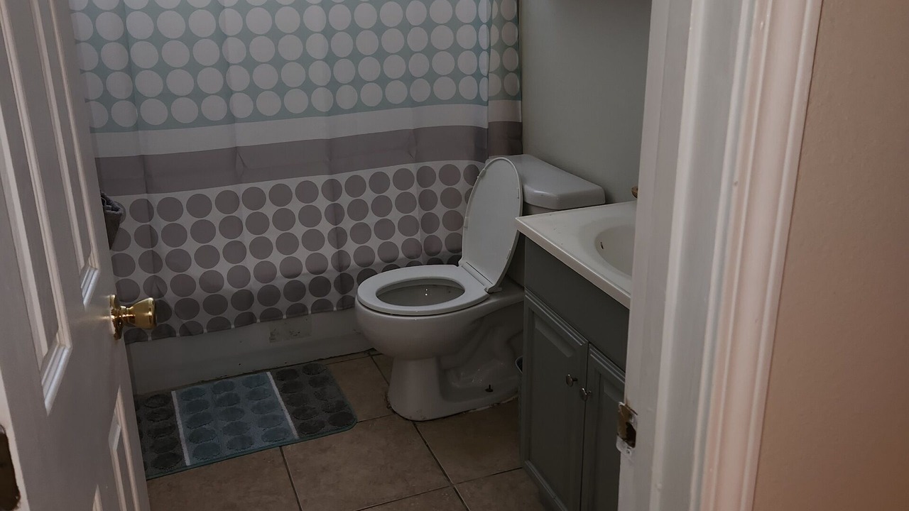 Photo of Bathroom in Little Woods