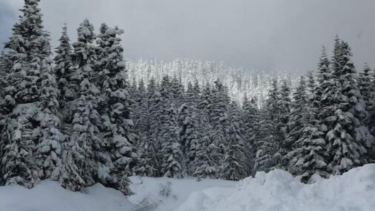 Photo of Others in Hemlock Valley