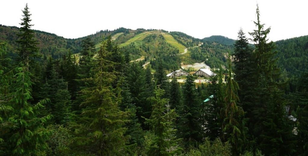 Photo of Others in Hemlock Valley