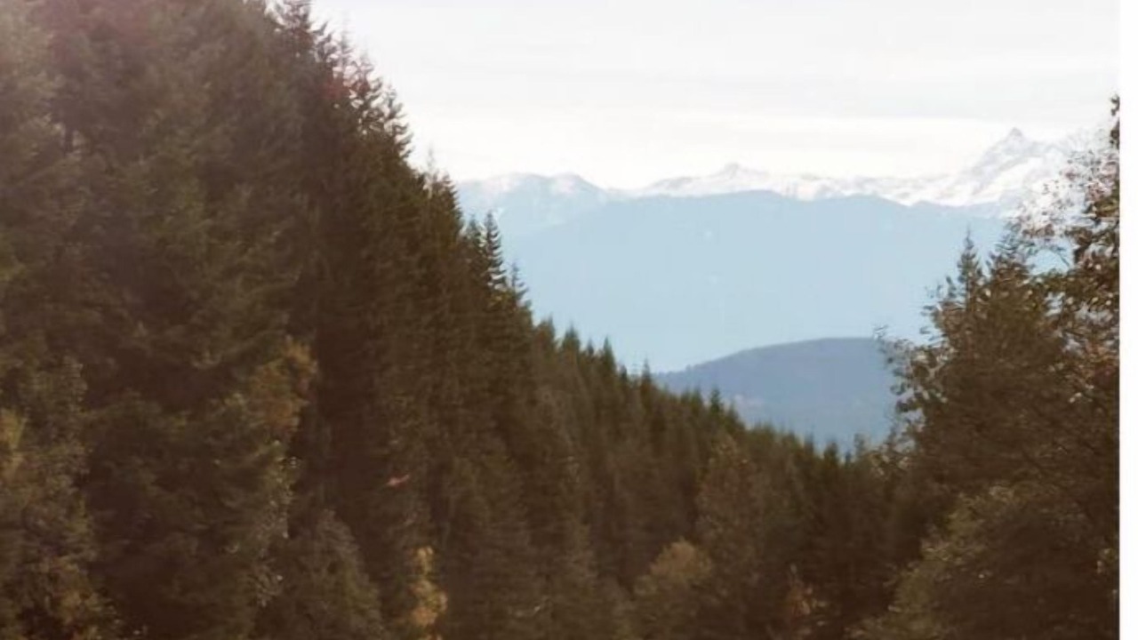 Photo of Others in Hemlock Valley