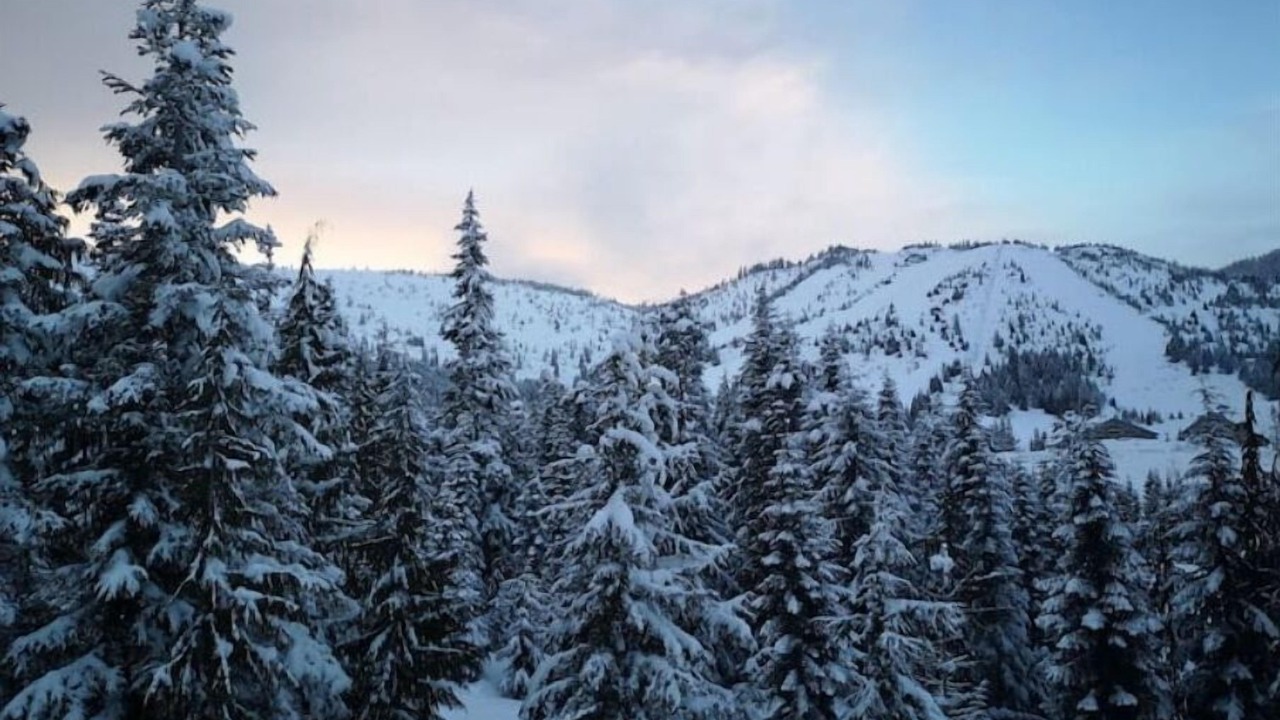 Photo of Others in Hemlock Valley