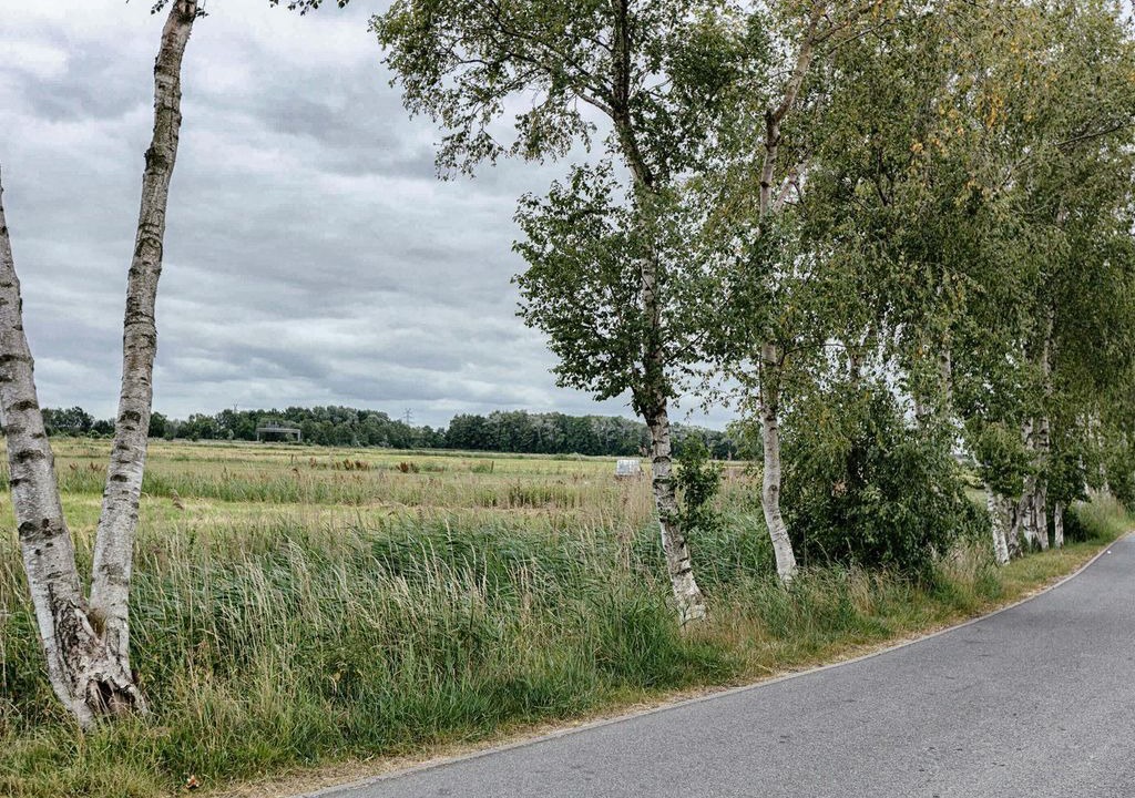 Photo of Others in Wolthusen