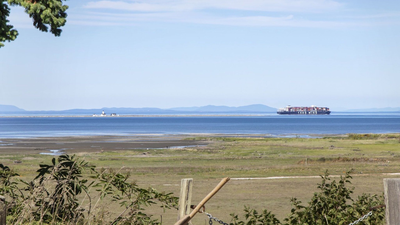 Photo of Others in Sequim