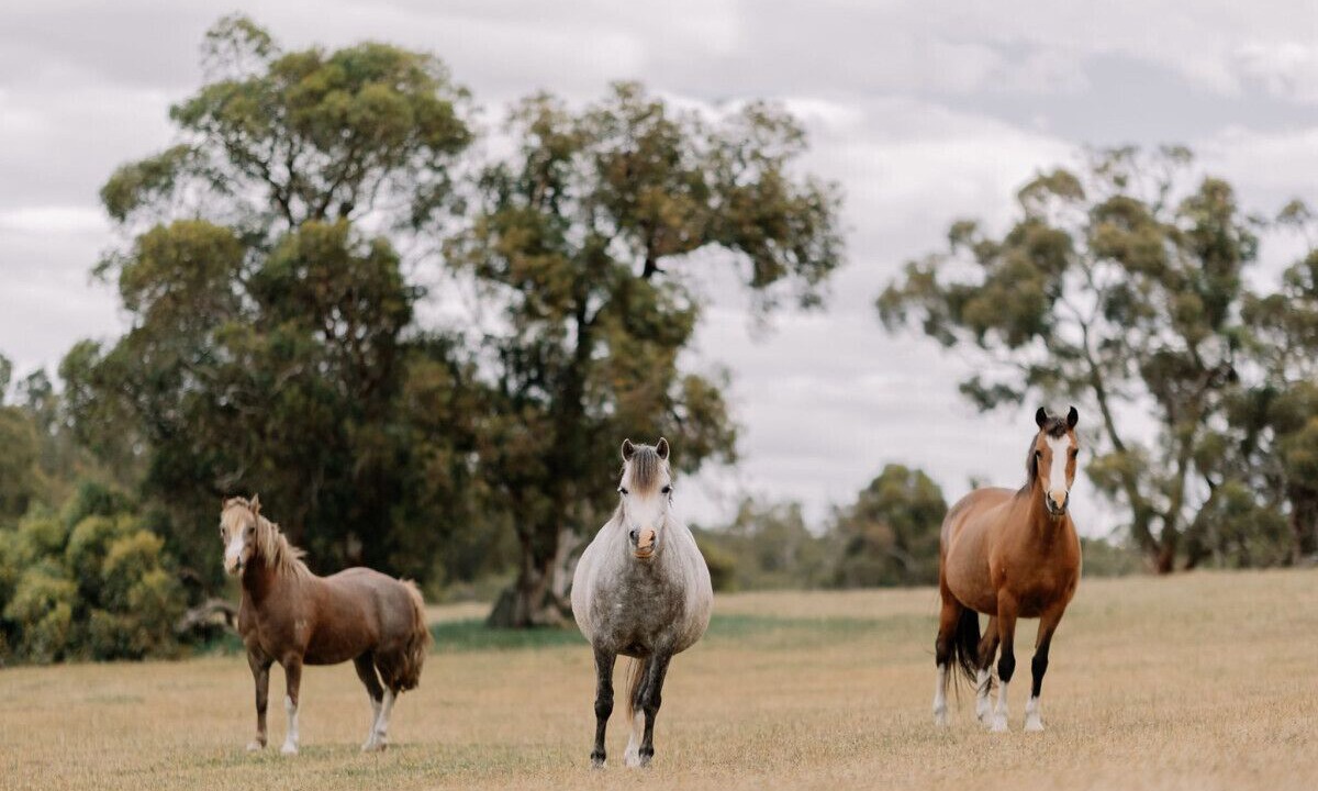 Photo of Others in Keysbrook