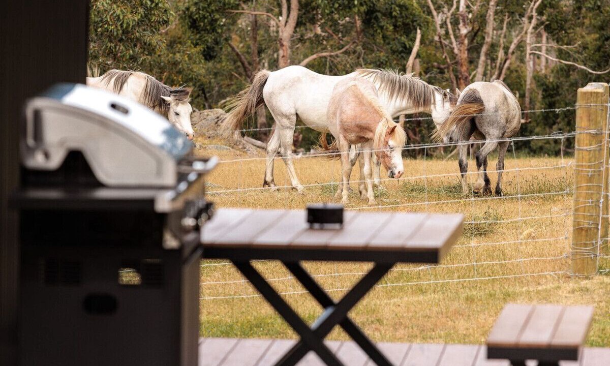 Photo of Outdoor in Keysbrook