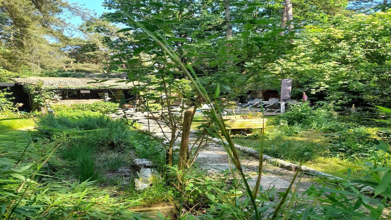 Photo of Outdoor in Oud-Turnhout