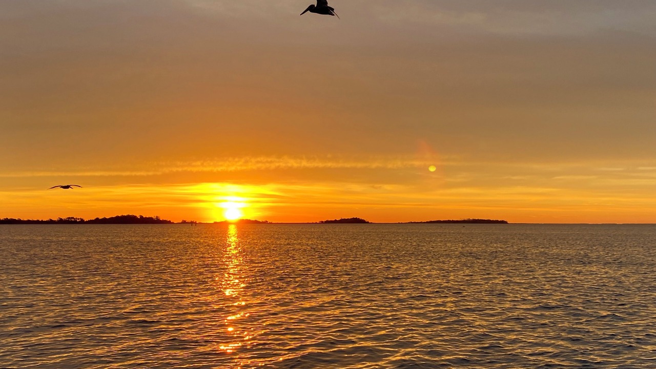 Photo of Outdoor in Cedar Island