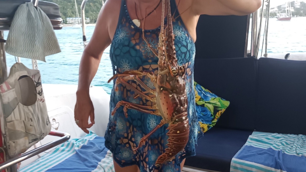 Photo of Others in Mount Pleasant Bay