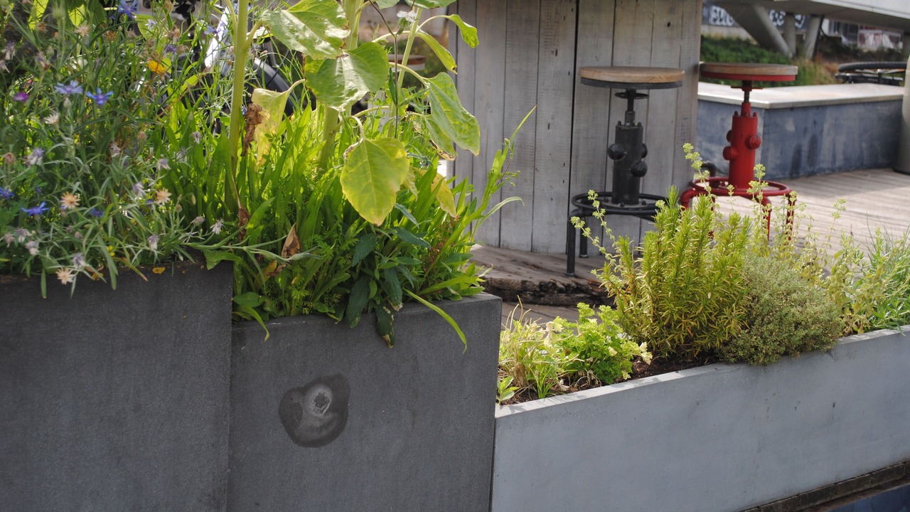 Photo of Outdoor in Muinkparkwijk
