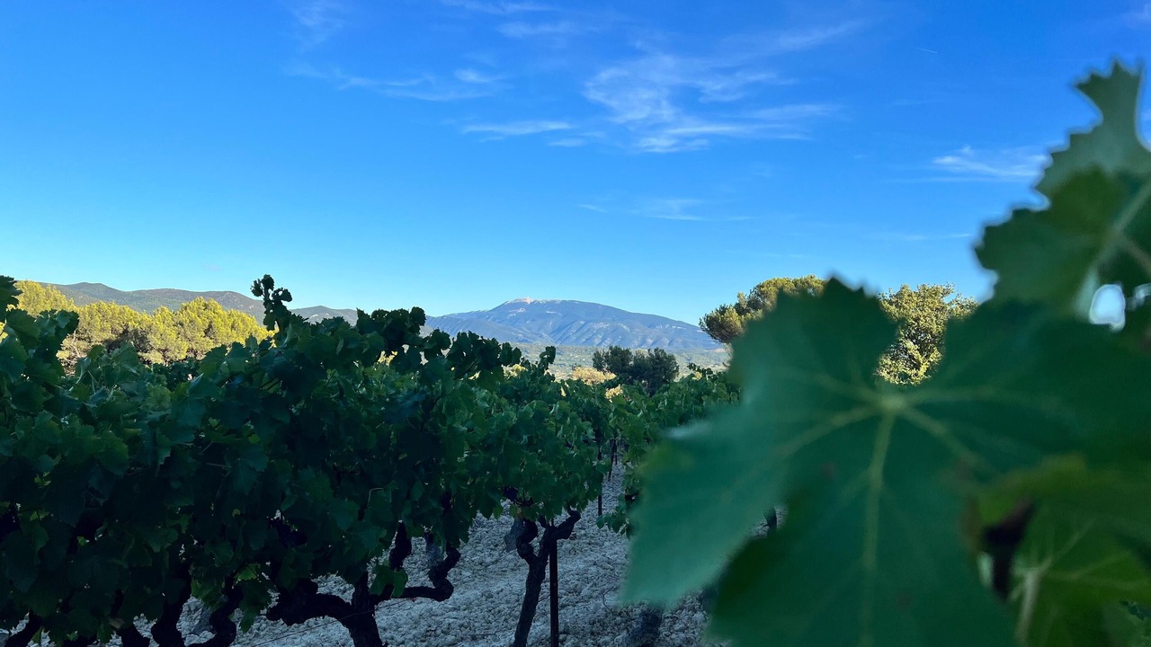 Photo of Others in Vinsobres