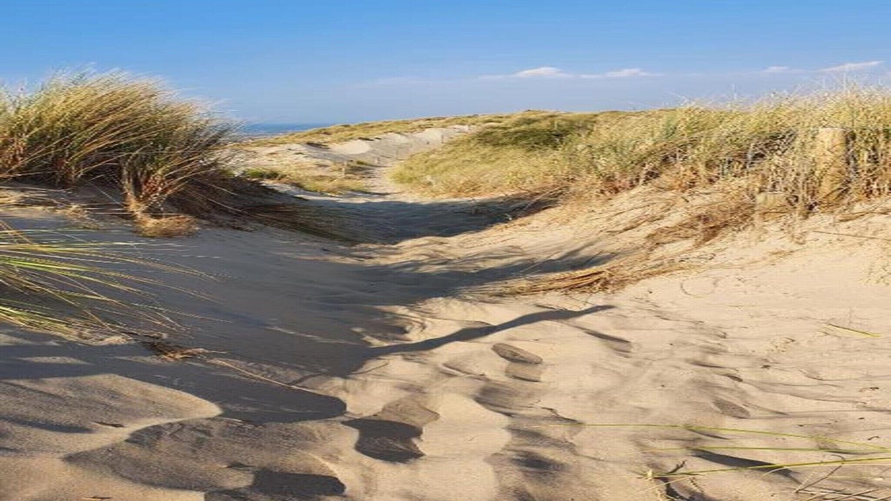 Photo of Others in Bredene