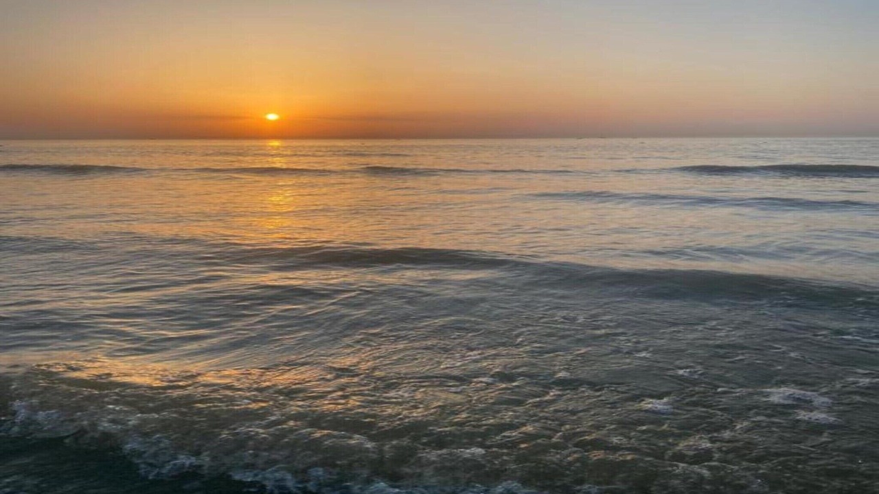 Photo of Others in Bredene