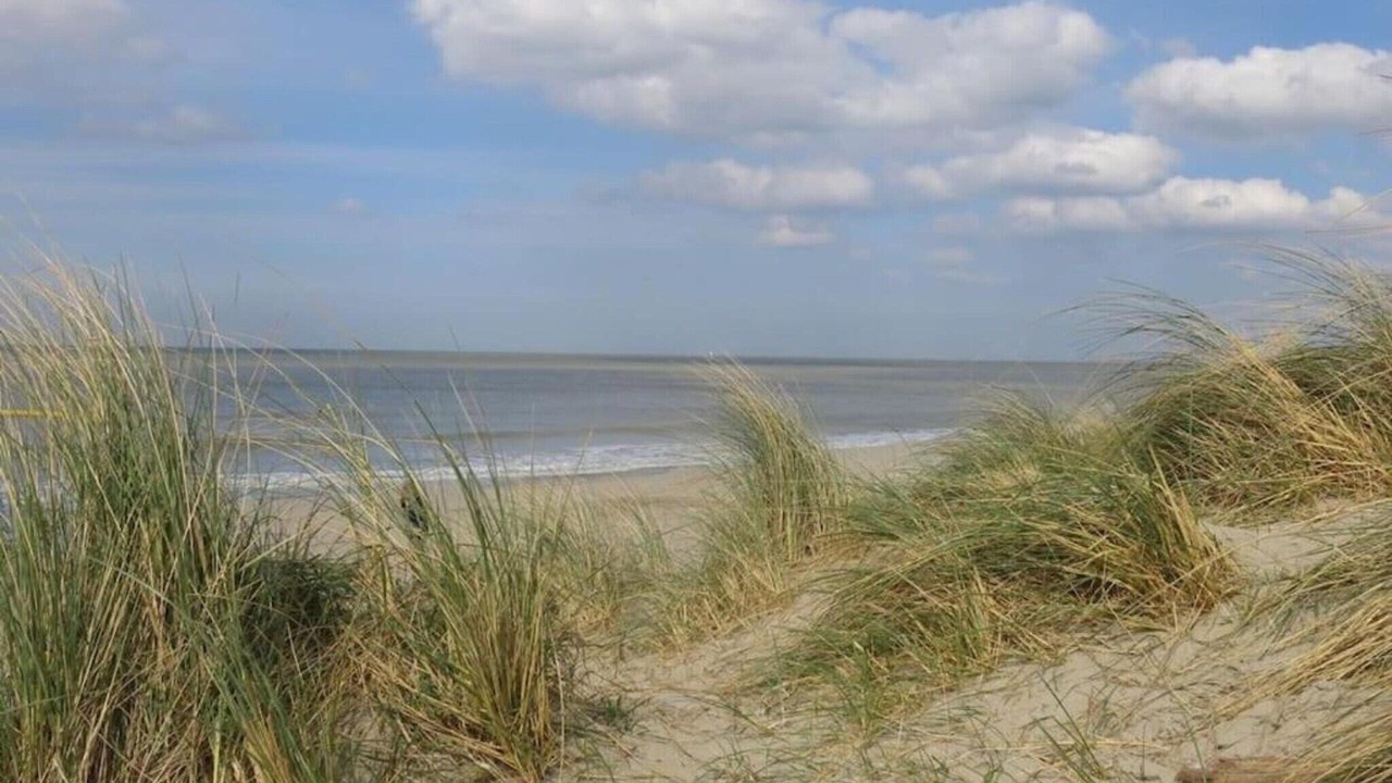 Photo of Others in Bredene