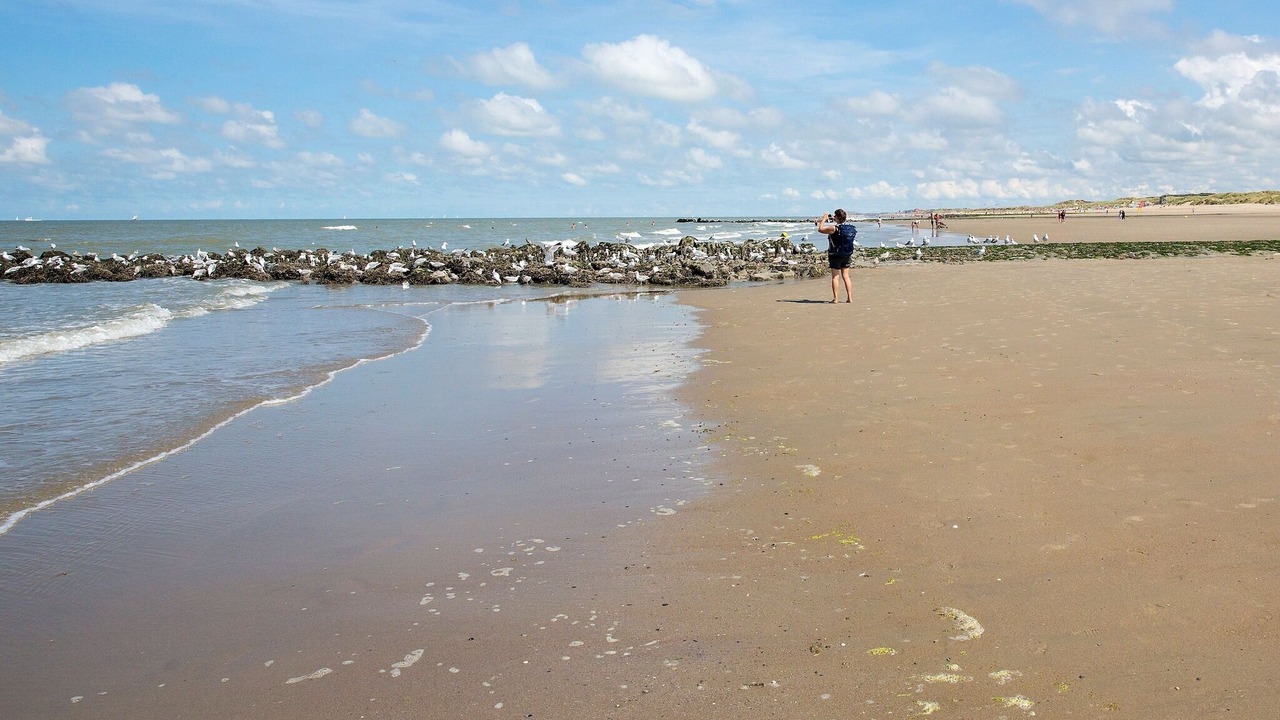 Photo of Others in Bredene